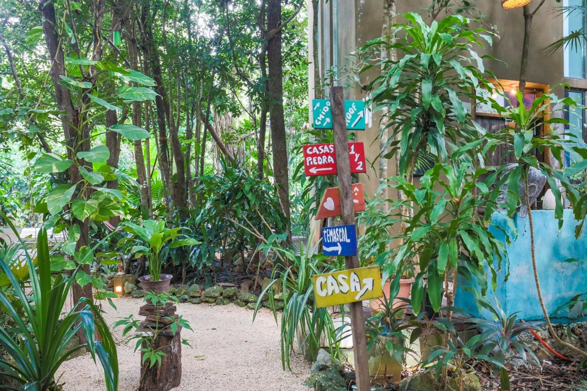 Guest House La Aldea Holistic Experience Канкун Екстериор снимка