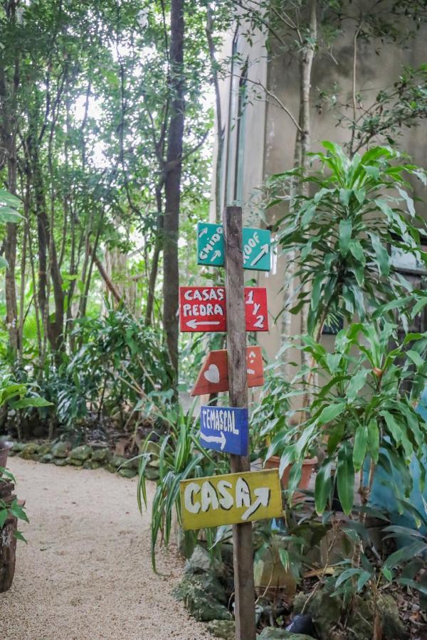 Guest House La Aldea Holistic Experience Канкун Екстериор снимка